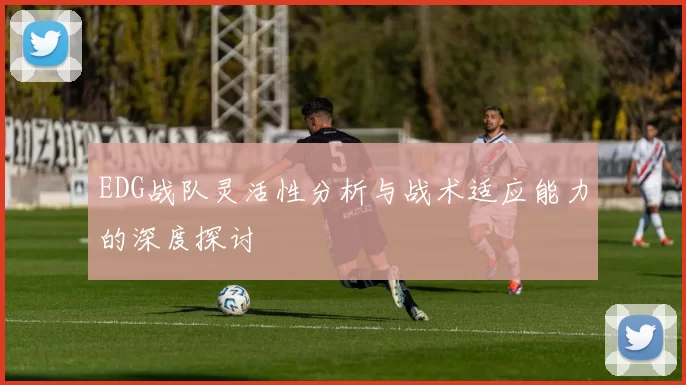 EDG战队灵活性分析与战术适应能力的深度探讨