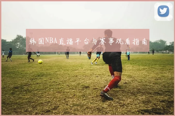 韩国NBA直播平台与赛事观看指南