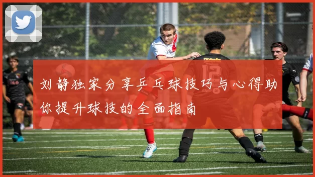 刘静独家分享乒乓球技巧与心得助你提升球技的全面指南