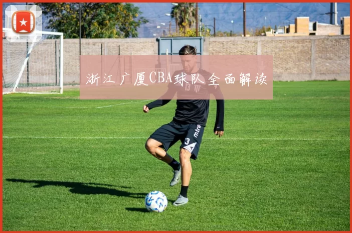 浙江广厦CBA球队全面解读