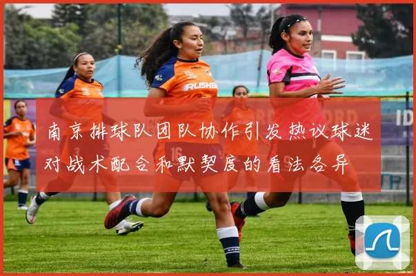 南京排球队团队协作引发热议球迷对战术配合和默契度的看法各异