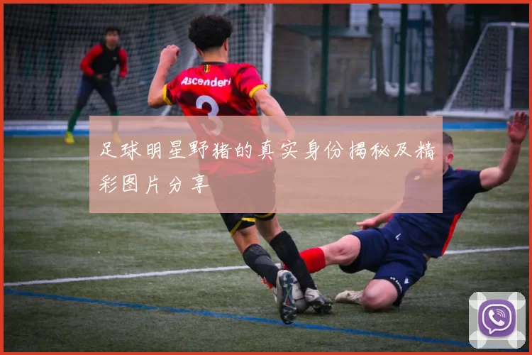 足球明星野猪的真实身份揭秘及精彩图片分享