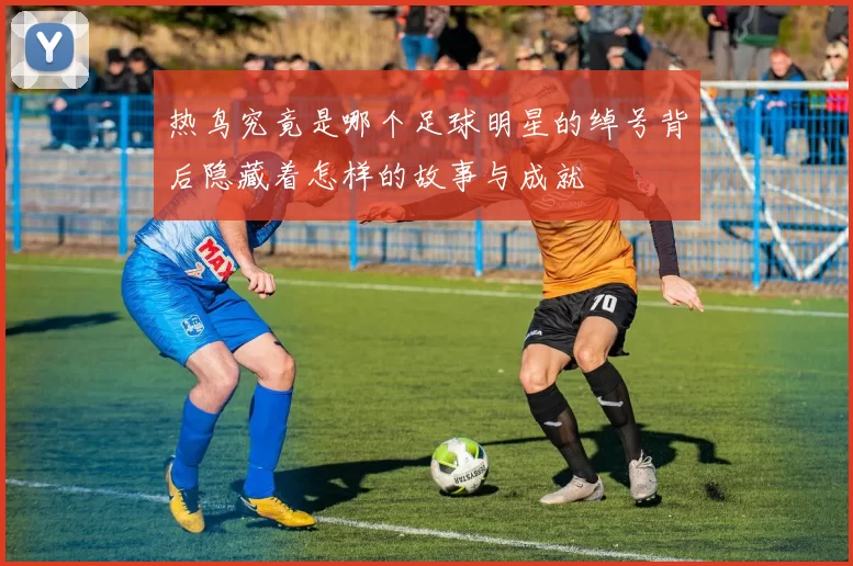 热鸟究竟是哪个足球明星的绰号背后隐藏着怎样的故事与成就
