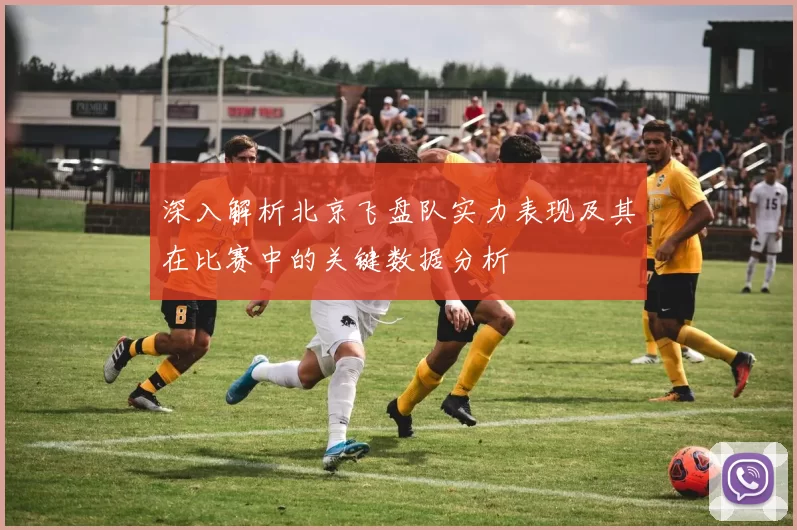 深入解析北京飞盘队实力表现及其在比赛中的关键数据分析