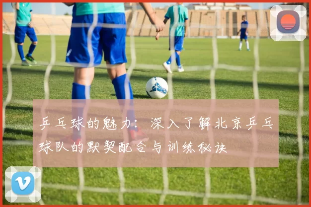 乒乓球的魅力：深入了解北京乒乓球队的默契配合与训练秘诀