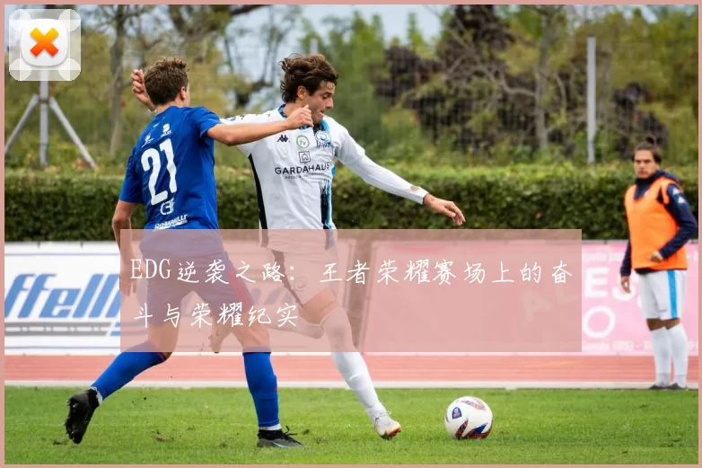 EDG逆袭之路：王者荣耀赛场上的奋斗与荣耀纪实
