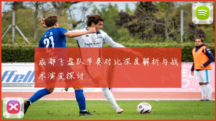 成都飞盘队节奏对比深度解析与战术演变探讨