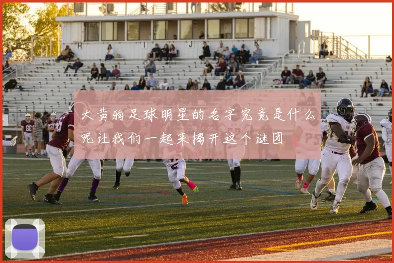 大黄狗足球明星的名字究竟是什么呢让我们一起来揭开这个谜团