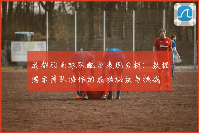 成都羽毛球队配合表现分析：数据揭示团队协作的成功秘诀与挑战