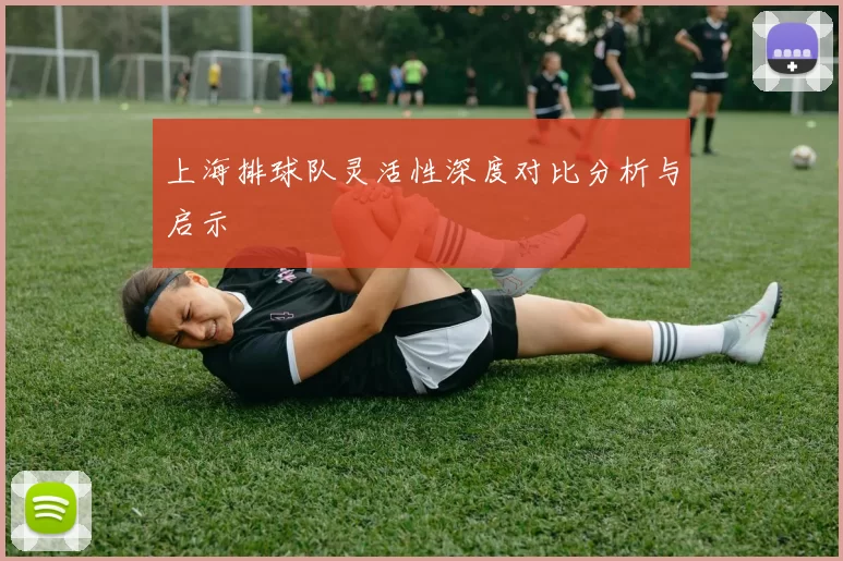 上海排球队灵活性深度对比分析与启示