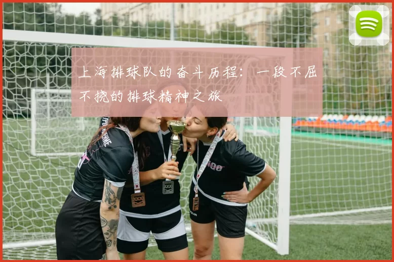 上海排球队的奋斗历程：一段不屈不挠的排球精神之旅