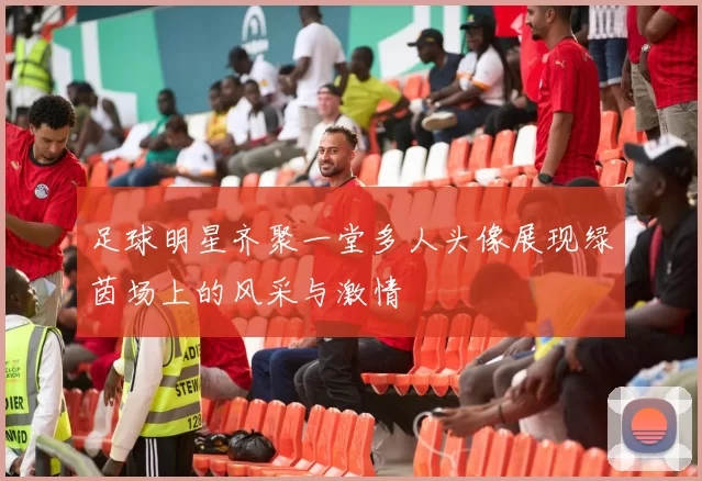 足球明星齐聚一堂多人头像展现绿茵场上的风采与激情