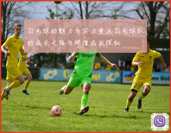羽毛球的魅力与实力重庆羽毛球队的成长之路与辉煌成就探秘