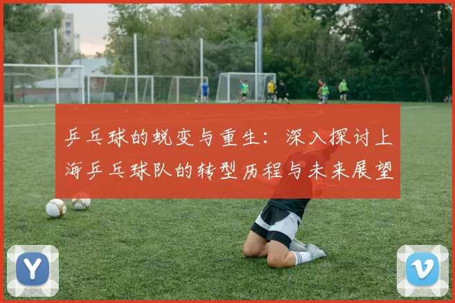 乒乓球的蜕变与重生：深入探讨上海乒乓球队的转型历程与未来展望