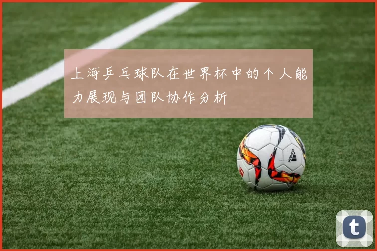 上海乒乓球队在世界杯中的个人能力展现与团队协作分析
