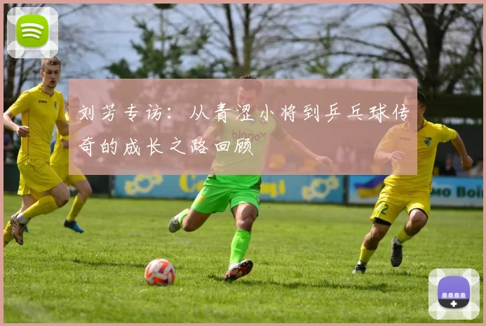 刘芳专访：从青涩小将到乒乓球传奇的成长之路回顾