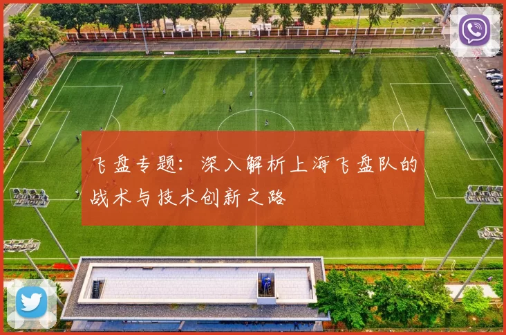 飞盘专题：深入解析上海飞盘队的战术与技术创新之路